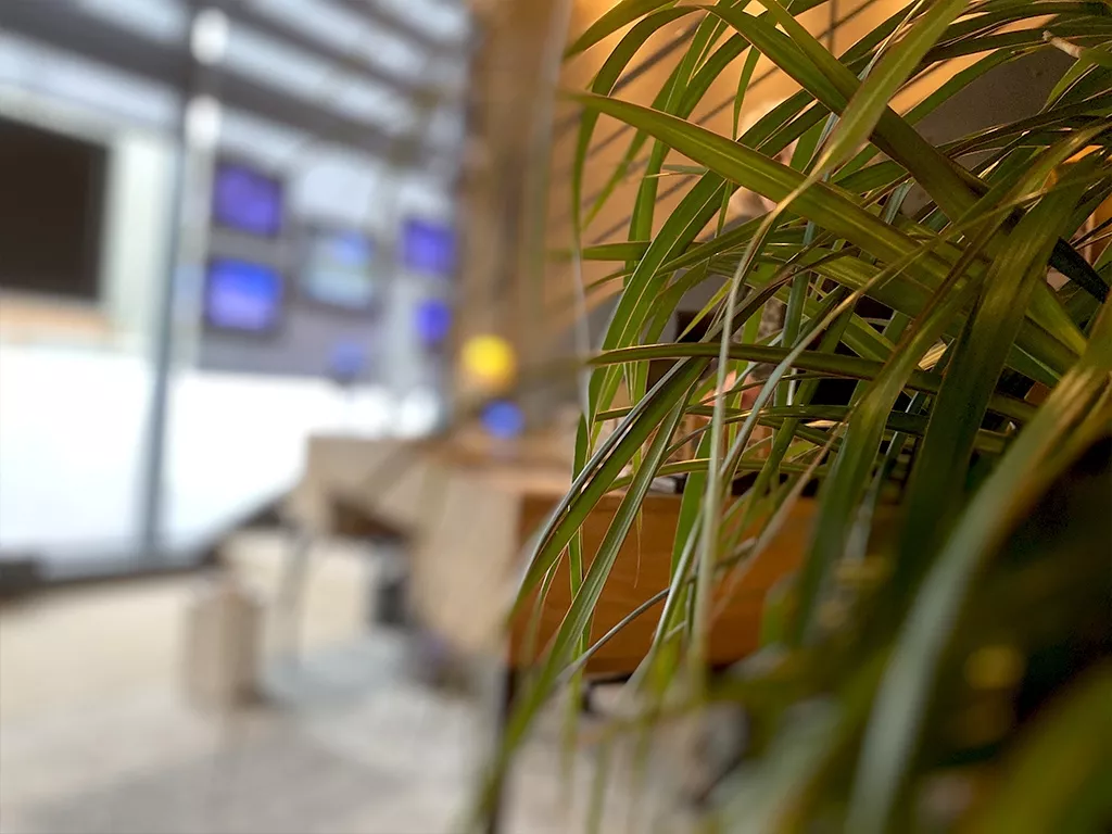 Cabinet Loire & Charme